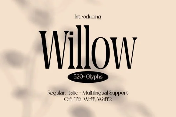 Willow by Minimalistartstudio — Slab Serif Font