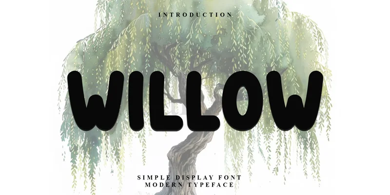 Willow Font by FreshTypeINK — Display Font