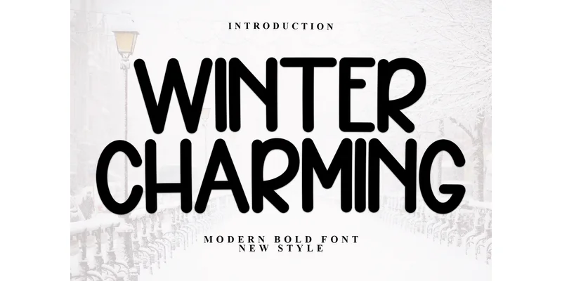 Winter Charming Font by Inermedia STUDIO — Display Font