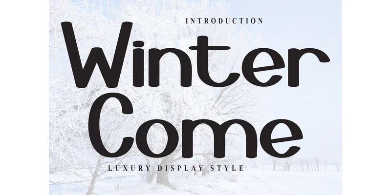 Winter Come Font by Inermedia STUDIO — Display Font