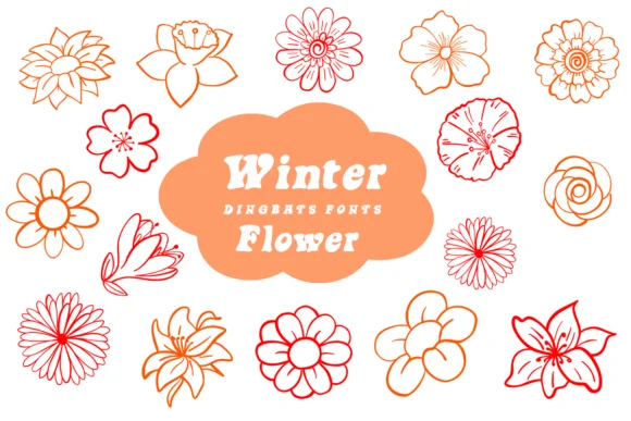 Winter Flower by Suphitchaya — Dingbats Font