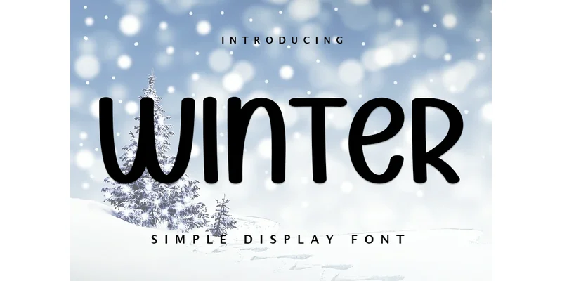 Winter Font by PAYJHOshop — Display Font