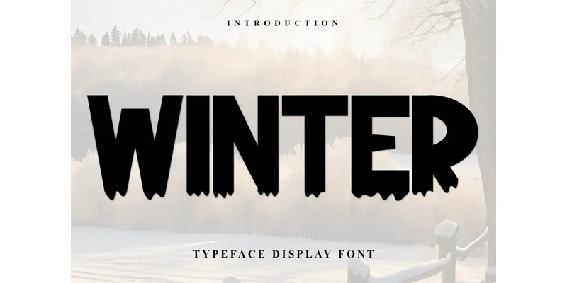 Winter Font by PiPi Creative — Display Font