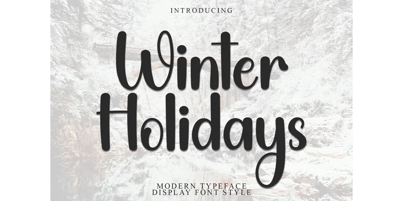 Winter Holidays Font by Inermedia STUDIO — Display Font