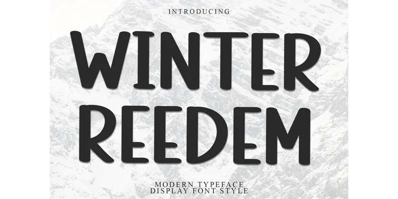 Winter Reedem Font by Inermedia STUDIO — Display Font