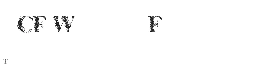 CF WireFrame