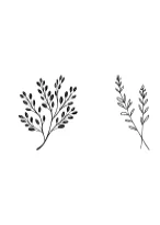 Wonder Leaves by MOMAT THIRTYONE — Dingbats Font — thumbnail 5