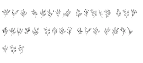 Wonder Leaves by MOMAT THIRTYONE — Dingbats Font — thumbnail 6