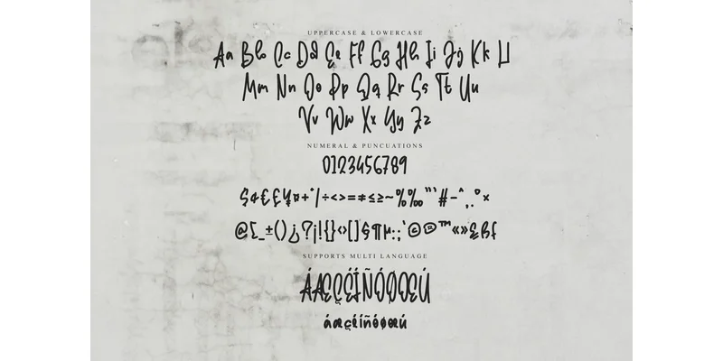 Writing Signature Font by 21Design by 21Design — Display Font — thumbnail 6