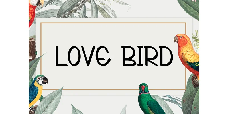 Zephyr Font by Berkah Shop by Berkah Shop — Display Font — thumbnail 2