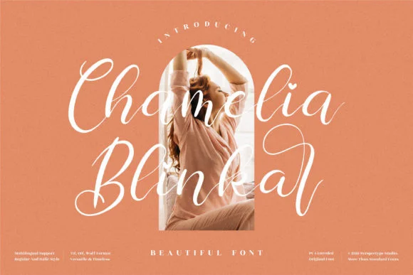 Chamelia Blinkar Font by Perspectype — Script Handwritten Font