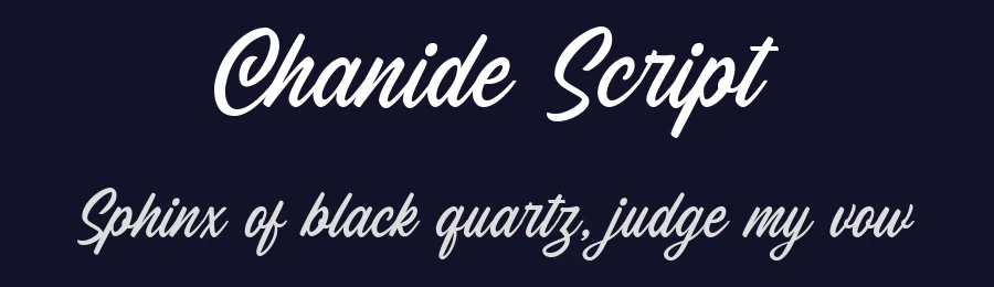 Chanide Script by Letterhend Studio — Script Handwritten Font — thumbnail 2