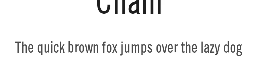 Chanl by Thomas R. Gabrielli — Sans Serif Font