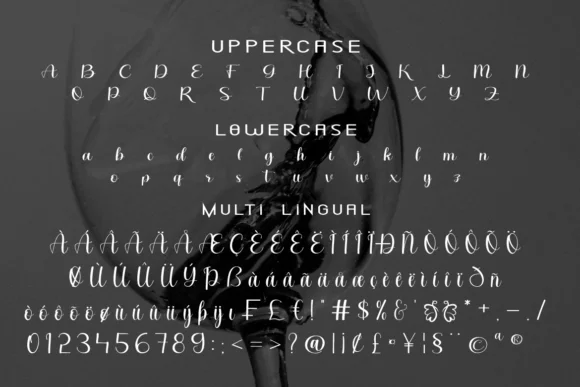 Chardonnay Font by WinType — Script Handwritten Font — thumbnail 9