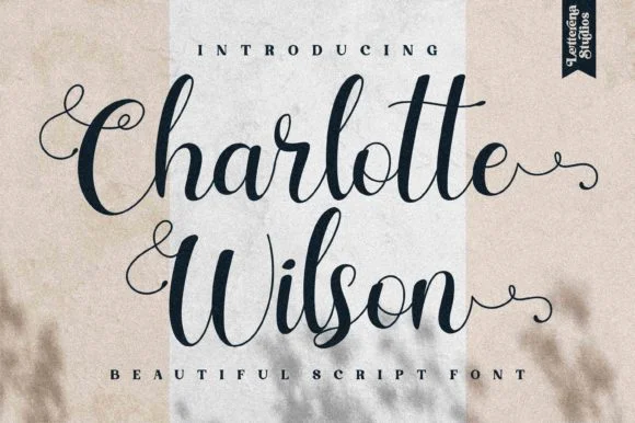 Charlotte Wilson Font by Letterena Studios — Script Handwritten Font