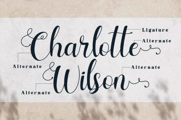 Charlotte Wilson Font by Letterena Studios — Script Handwritten Font — thumbnail 2