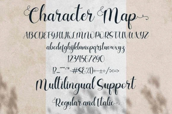 Charlotte Wilson Font by Letterena Studios — Script Handwritten Font — thumbnail 3