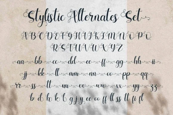 Charlotte Wilson Font by Letterena Studios — Script Handwritten Font — thumbnail 4