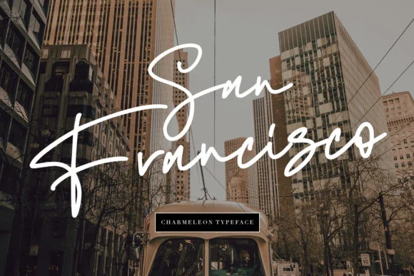 Charmeleon Font by Maulana Creative — Script Handwritten Font — thumbnail 4