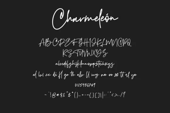 Charmeleon Font by Maulana Creative — Script Handwritten Font — thumbnail 6