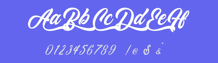 Cheetah Kick by Typhoon Type - Suthi Srisopha — Script Handwritten Font — thumbnail 3