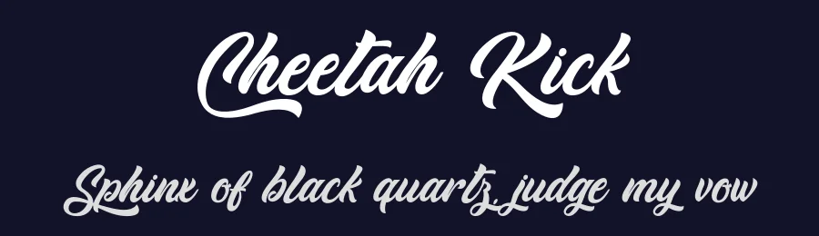 Cheetah Kick by Typhoon Type - Suthi Srisopha — Script Handwritten Font — thumbnail 2