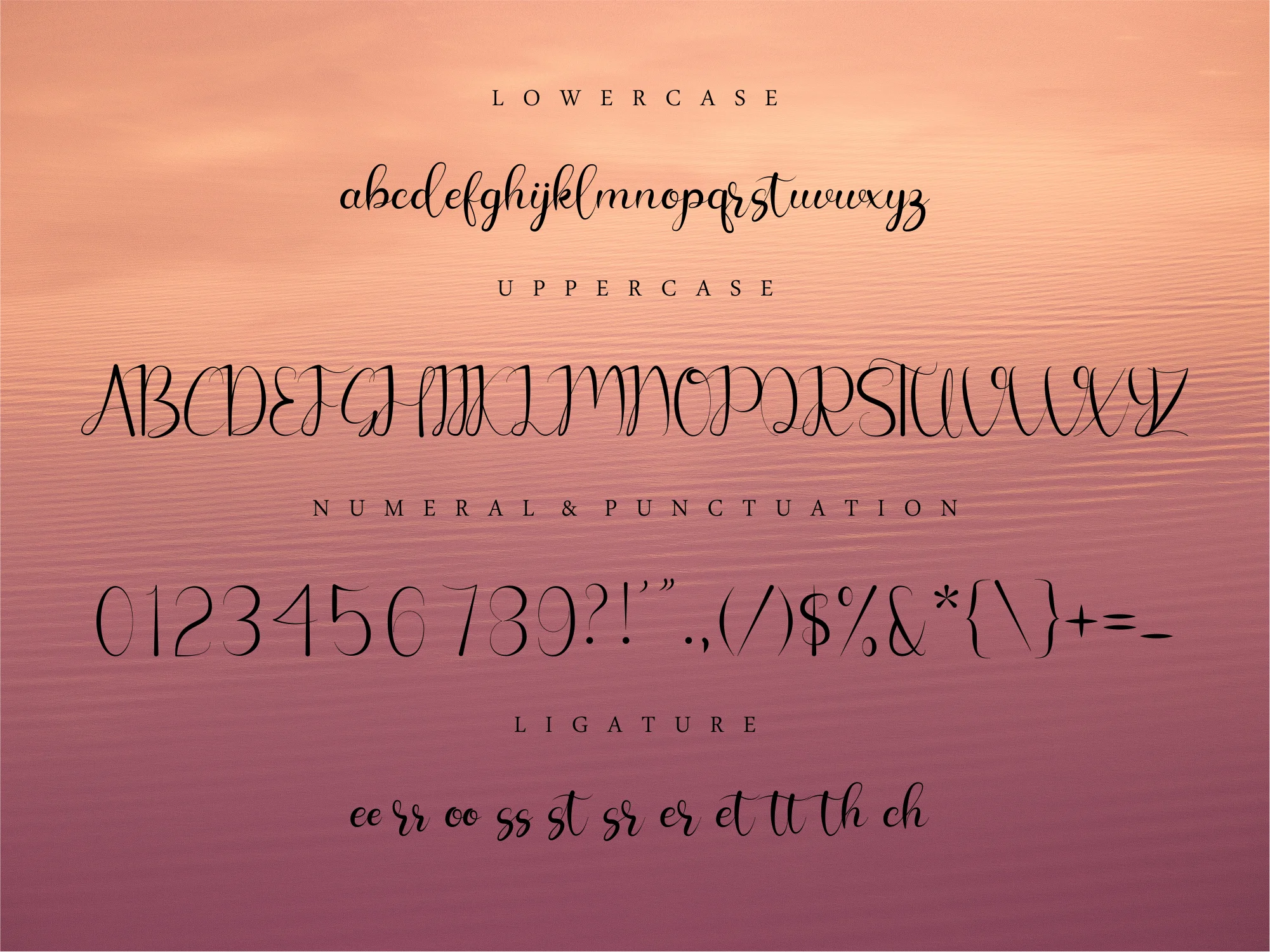 Chelosia Font by Bluestudio — Script Handwritten Font — thumbnail 6
