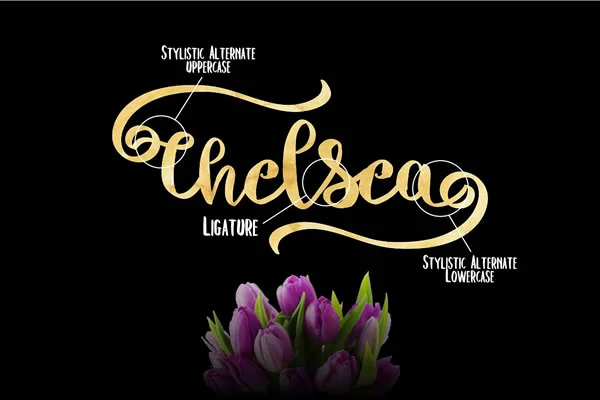 Chelsea Font by Debut Studio — Script Handwritten Font