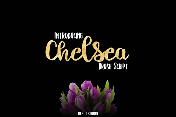 Chelsea Font by Debut Studio — Script Handwritten Font — thumbnail 6