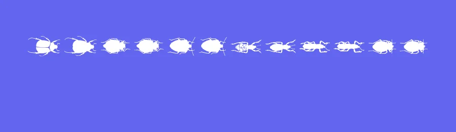 ChileanBugs by Latinotype — Dingbats Font — thumbnail 3