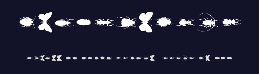 ChileanBugs by Latinotype — Dingbats Font — thumbnail 2