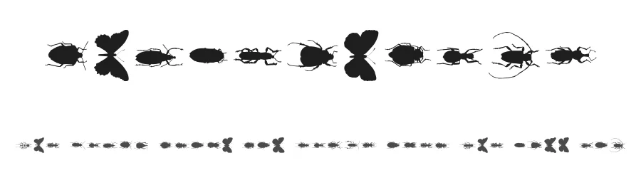 ChileanBugs by Latinotype — Dingbats Font