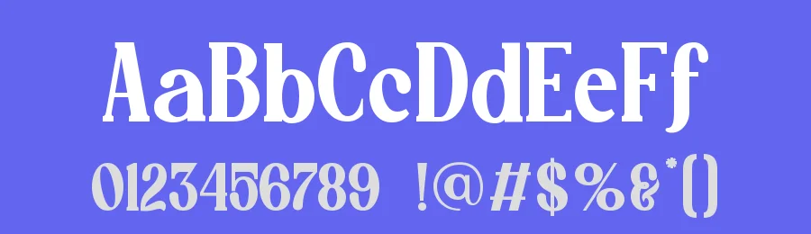 Choges by FallenGraphic Studio — Serif Font — thumbnail 3