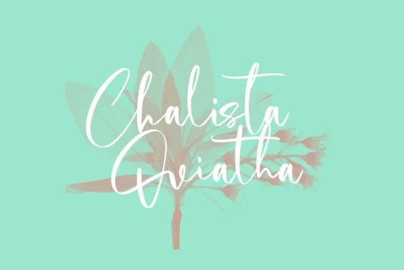 Cholasette Script Font by Maulana Creative — Script Handwritten Font — thumbnail 5