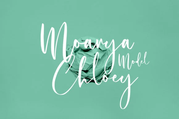 Cholasette Script Font by Maulana Creative — Script Handwritten Font — thumbnail 7