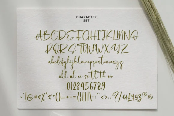 Cholasette Script Font by Maulana Creative — Script Handwritten Font — thumbnail 8