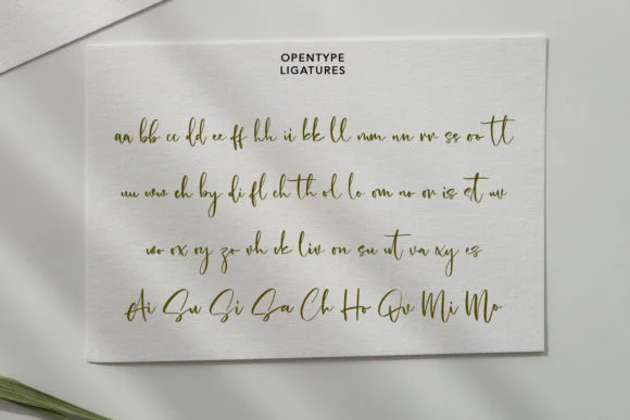 Cholasette Script Font by Maulana Creative — Script Handwritten Font — thumbnail 9