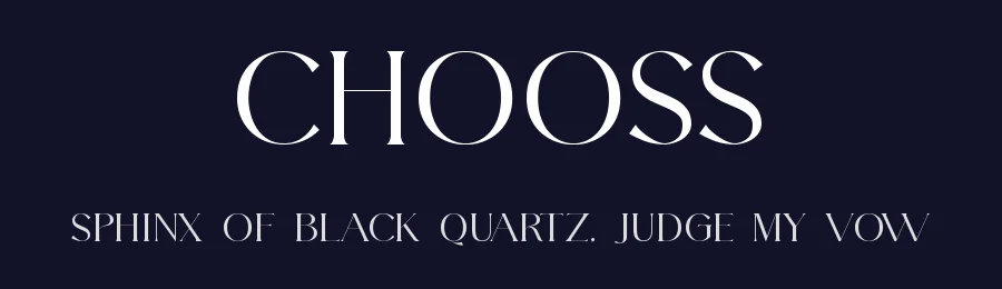 Chooss by Slide Shoot Type — Serif Font — thumbnail 2
