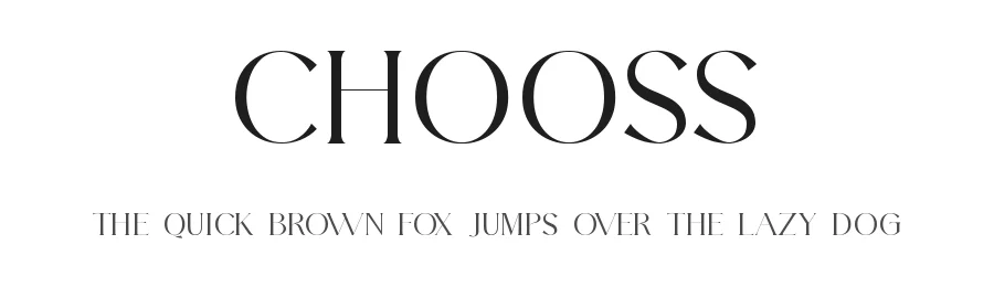 Chooss by Slide Shoot Type — Serif Font