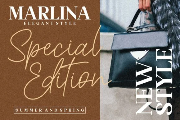 Christina Font by Letterena Studios by Letterena Studios — Script Handwritten Font — thumbnail 5