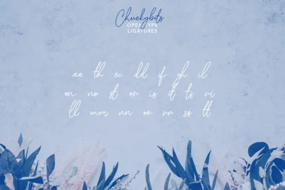 Chuckybits Font by Maulana Creative — Script Handwritten Font — thumbnail 9