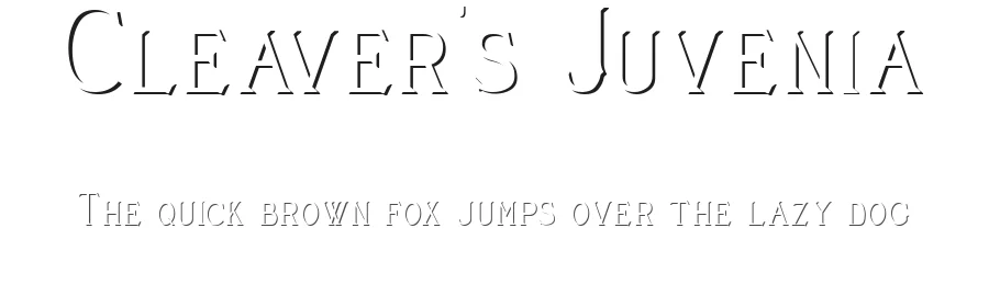 Cleaver's Juvenia by Paul Lloyd — Serif Font
