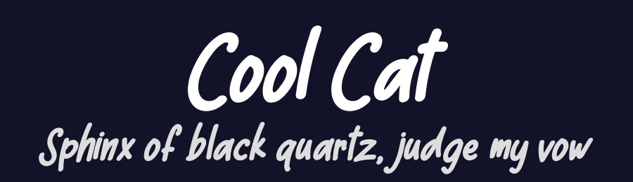 Cool Cat by Letterena Studios — Decorative Font — thumbnail 2