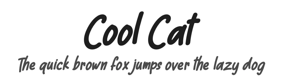 Cool Cat by Letterena Studios — Decorative Font