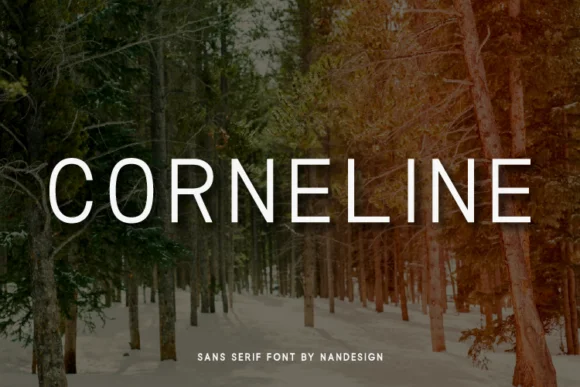 Corneline Font by Nan Design — Wedding Font