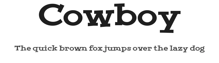 Cowboy