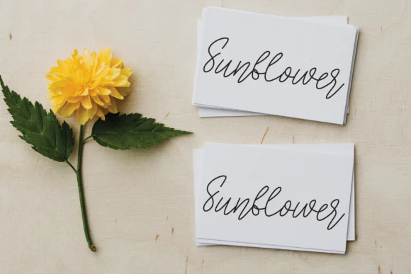 Creative Workshop Font by Misterletter.co — Script Handwritten Font — thumbnail 5
