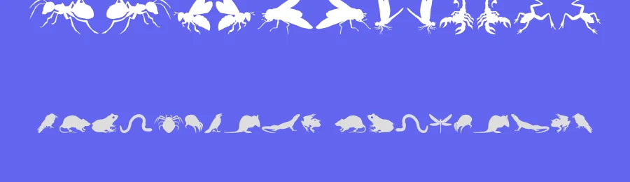 Creepy Crawlies by Iconian Fonts — Dingbats Font — thumbnail 3