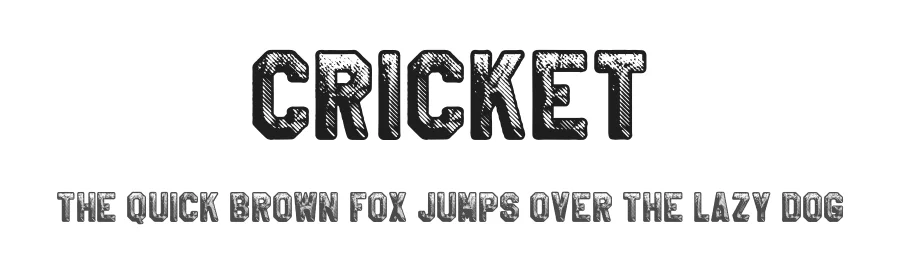 Cricket