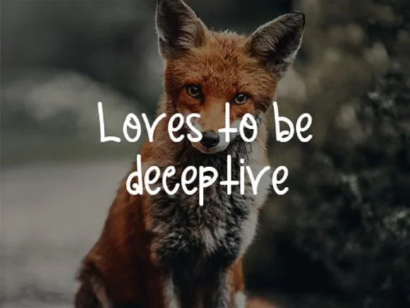 Cunning Fox Font by scriptstrategy — Script Handwritten Font — thumbnail 2